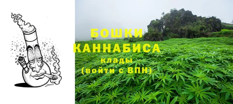 Конопля LSD WEED  Жуковка 